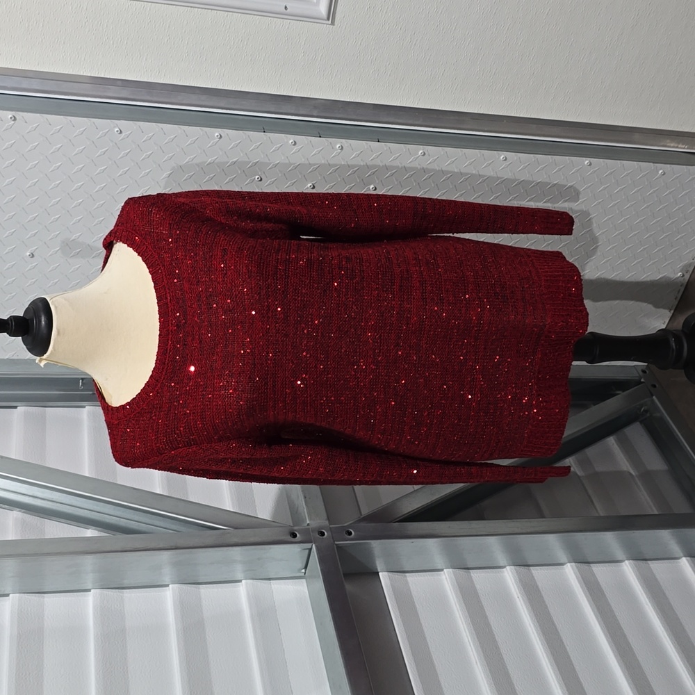 Time & True Sparkly Tunic Size XL(16-18)